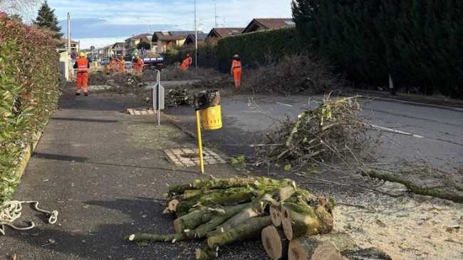 bellinzago via volta riqualif