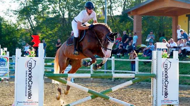 centro ippico caltignaga salto cavallo