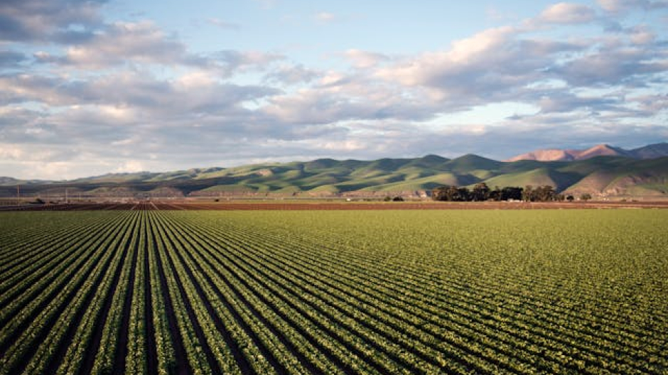 Coldiretti- Ue: nessuna risposta su reciprocità nel Mercosur
