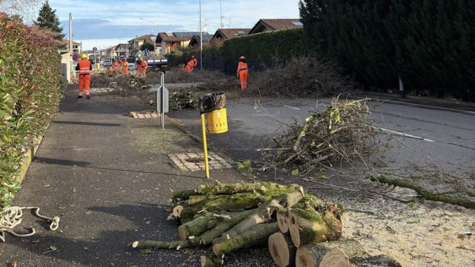 Bellinzago, riqualificazione via Volta. Eliminate piante in condizioni di criticità